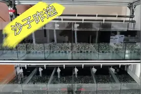 系统鱼缸的底砂选择哪种比较好，大矶沙，铁胆沙，河沙介绍