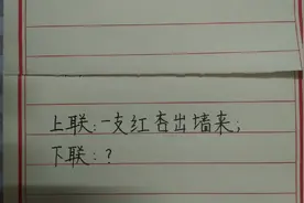上联：一支红杏出墙来；诚邀诗友们对下联？视频封面
