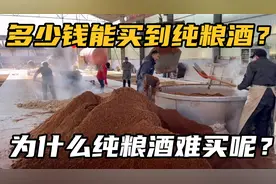 真正的纯粮酒多少钱一斤？酿酒小伙说出真实价格，便宜吗？视频封面