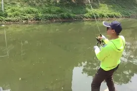 小龙虾钓鱼简直要颠覆钓鱼届，空钩也能上鱼，全程实拍视频封面