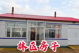 黑龙江林区房子白菜价还能过户，为啥晓丽劝说先观望不着急出手？视频封面