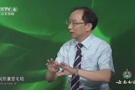 片仔癀既利胆消炎、又止疼保肝，是肝胆系统药物的后起之秀视频封面