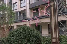 青岛豪宅星河湾旁 叠拼送车位 海边视频封面