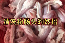 清洗粉肠头有妙招，客家罗仔毫无保留的告诉你清洗的步骤方法