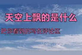 天空飘的是什么？鸟儿还是那云朵？视频封面