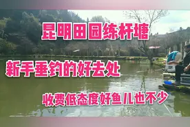 昆明田园练杆塘，新手垂钓的好去处，收费低态度好鱼儿也不少