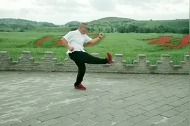 北京三皇炮捶拳第九代传承人高文成先生演练的五趟炮捶视频封面