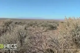 你不动，我不动，谁动谁死!😄😂视频封面