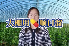 大棚用药的顺口溜，你知道吗<(｀^´)>视频封面