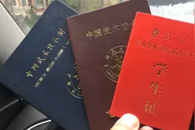 嵩山塔沟武校毕业，去应聘保安工作，薪资待遇太低，只能看大门视频封面