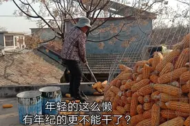 山东邹城:  农村懒媳妇不愿意干活，看看婆婆怎样说她的？视频封面