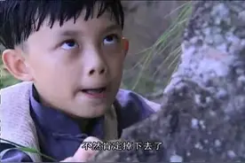 喜儿自己追蝴蝶意外发现灵芝，爬上去摘不小心摔下撞到头，昏迷了视频封面