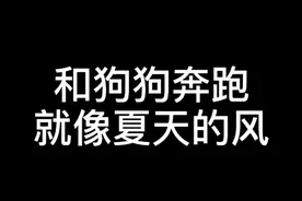 有人看到这种视频会很愉悦开心，有人看到这种视频会咬牙切齿