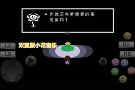 双重版的小花音乐视频封面