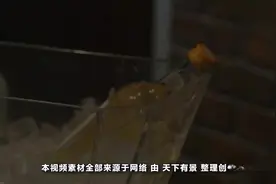 一滴入魂！日本清酒界的“茅台”究竟厉害在哪里？视频封面