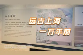 远古上海—万年前上海大部分还沉寂在海洋之下-博展系列
