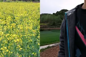 华为nova7pro上手的前后双景录像，这功能可以