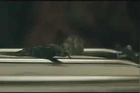 系统可以任何进入任何虚拟世界进行冒险，真的有看起来这么美好吗