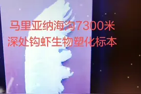 深海珍稀生物，彩虹号深海探测器在马里亚纳海沟7300米采集的钩虾视频封面