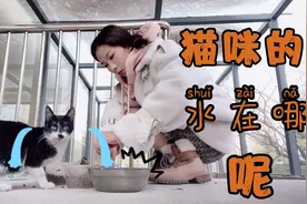 拧巴给流浪猫送吃的从来不送水，猫咪喝水问题咋解决？今天做回答