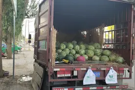 运费太低的离谱，卡车小伙摆摊卖西瓜一天能卖七八百斤西瓜还可以视频封面