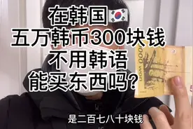 在韩国不用韩语全程中文五万块钱能买多少东西？