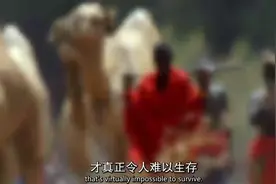 骆驼牧人靠跟随大象找到的水源，度过旱季视频封面