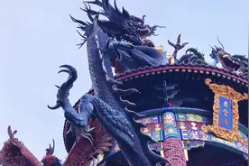 一定不要摸白瀑寺里寺猫的脑袋，对方很生气，后果很严重！视频封面