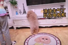 女朋友哄狗狗就等于你哄女朋友！你学会了吗？