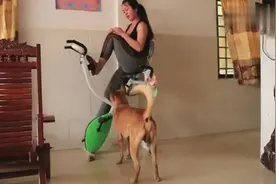 女主人运动健身，却遭到狗子的骚扰，看见这一幕我笑了啊视频封面