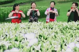 打卡石象湖风景区视频封面