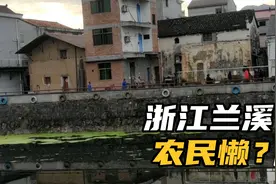 浙江兰溪农民懒是真的吗？各地区人摆摊勤劳对比，东阳农民最豪气视频封面