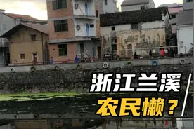 浙江兰溪农民懒是真的吗？各地区人摆摊勤劳对比，东阳农民最豪气视频封面