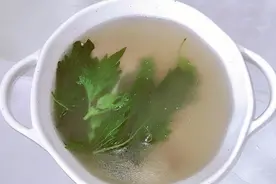 老保姆教我用紫苏煮水喝，原来好处这么多，好喝又健康，收藏视频封面