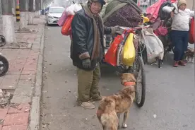 抖音上帮主人拼命拉板车爆红的小狗，载舟夸它仁意，狗主人咋说？视频封面