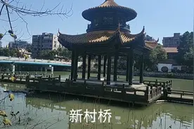 二十多天了，温州疫情还没解除，看公园还是封闭的！