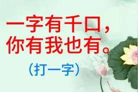 益智又有趣的猜字谜：一字有千口，你有我也有，打一个字视频封面