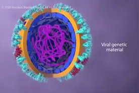 新冠状病毒是怎样侵入体内的，看看模拟视频就明白了