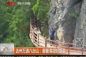 夏季来临，去达州万源八台山避暑！风景如画，清凉好惬意视频封面