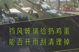 鸡蛋打在前挡风玻璃上怎么办？视频封面