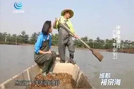 给草鱼喂120天蚕豆，会变成什么？他们就是靠这个秘诀发家致富的视频封面