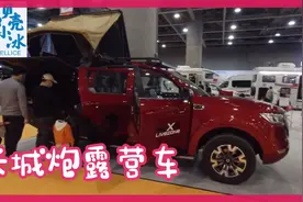 长城炮原厂露营车，后斗变卧室 厨房 ，2.0T小专手续15年不报废视频封面