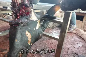 农村老式的杀羊方法，听老人说:这样搞出来的羊角酒才色味俱全视频封面