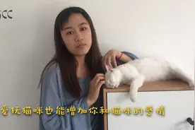 猫咪经常挠人怎么办？教爱宠们一种方法轻松解决，简单易学！视频封面