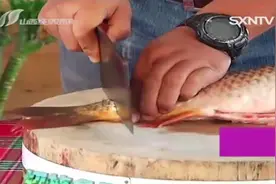 从来没见过的取鱼线方法，不用敲打不用拍，“按摩”一下就出来视频封面