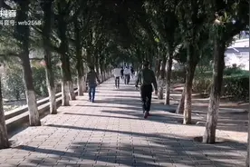 将军之乡-----福建省龙岩市上杭县才溪视频封面