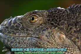 生命中不可缺少的水究竟有多重要？