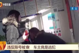 男子违反限号被查，通过警务通查询，男子身份不简单啊！