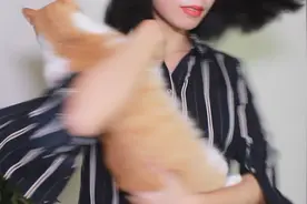 猫原地转圈圈会不会像人一样头晕？笑死了视频封面