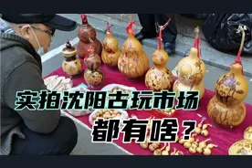 周末逛沈阳鲁园古玩市场，手串10元一串，稀奇古怪的文玩遍地都是